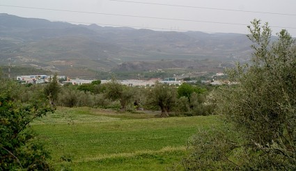 Un aspecto del Valle de Lecrín, con algunas industrias de Dúrcal  entre medias.