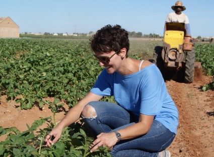 María, estudiante de agronomia, buscando orugas en un campo de patatas